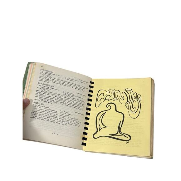 Shelby Iowa Our Favorite Recipes 1970 100 Year Vintage Recipes Cook Book - Picture 6 of 11